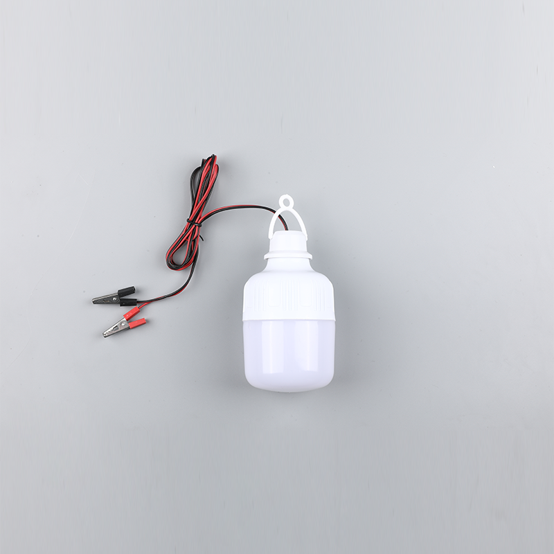 Led žarulja-dc12v 24v