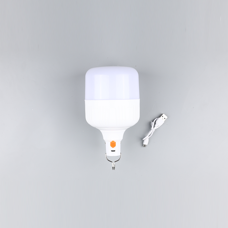 Led žarulja-DC 12v 24v